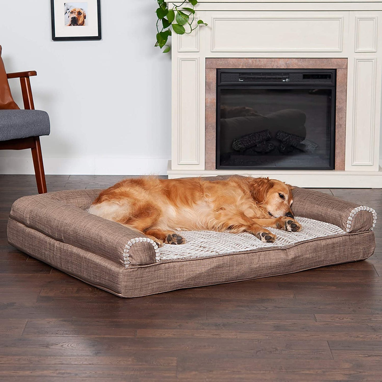 Orthopedic, Cooling Gel, and Memory Foam Pet Beds for Small, Medium, and Large Dogs and Cats - Luxe Perfect Comfort Sofa Dog Bed, Performance Linen Sofa Dog Bed, and More