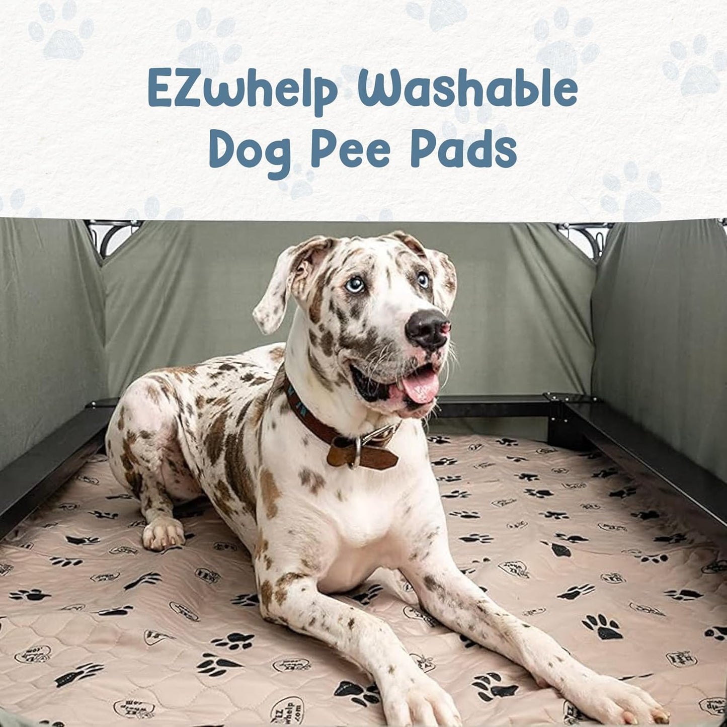 Pee Pads for Dogs - Dog & Puppy Training & Whelping Pads - Rounded Corners - Washable, Reusable - Waterproof, Sanitary Potty Protector Dog Mat - Pet Essentials - 2 Pack